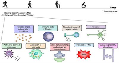 Silent Free Fall at Disease Onset: A Perspective on Therapeutics for Progressive Multiple Sclerosis